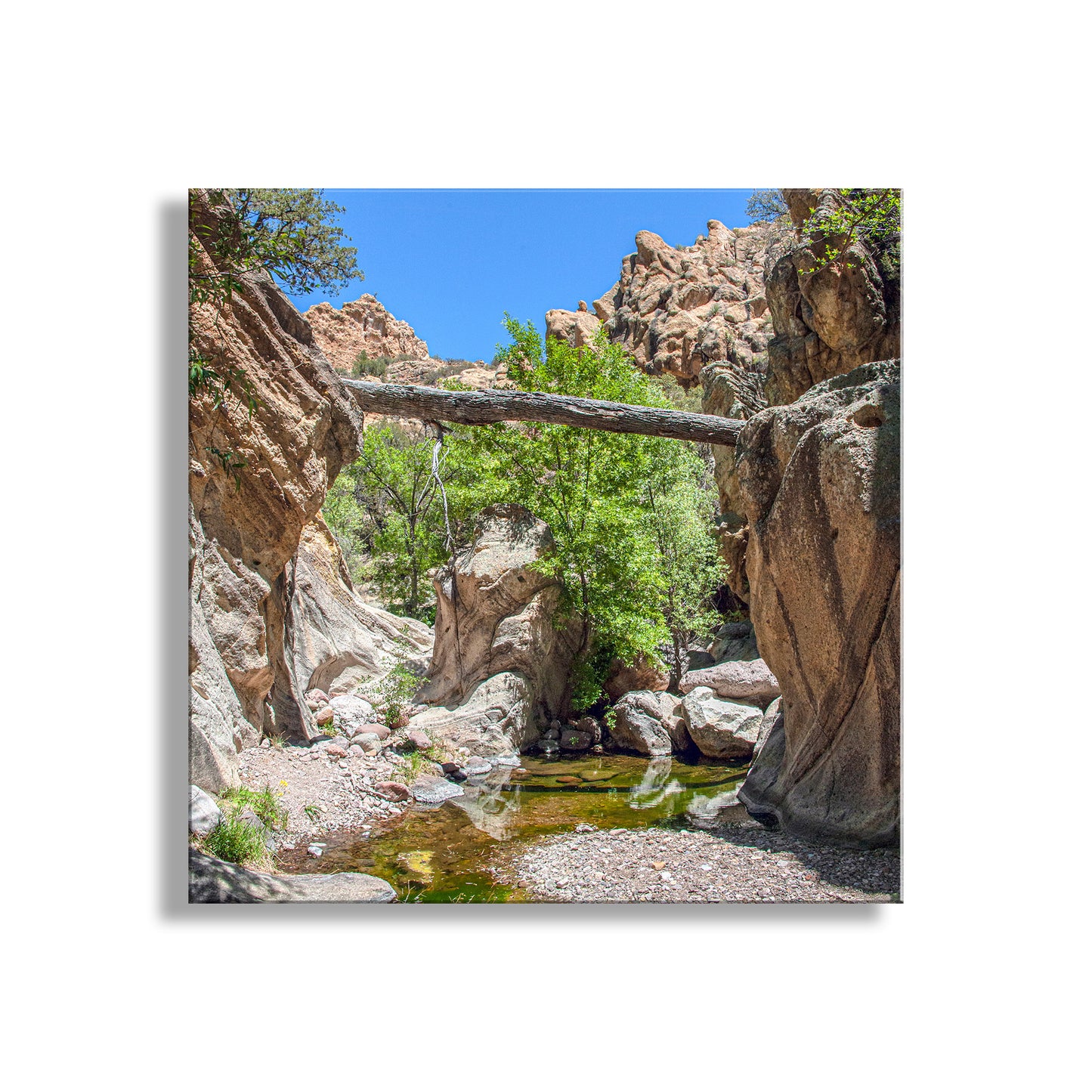 My beautiful black &amp; white desert canyon photograph with a fallen log in the Arizona wilderness! I captured this scene one of the remotest parts of borderlands Arizona. This is the spring water of Sycamore Canyon, Pajarita Wilderness! Original, unique signed art by Murray Bolesta.