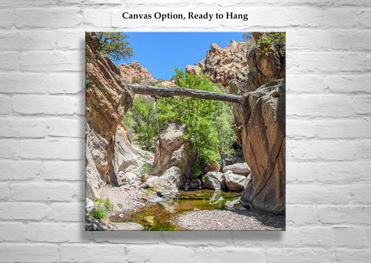 Arizona Desert Canyon Creek Landscape Art Print with Fallen Log