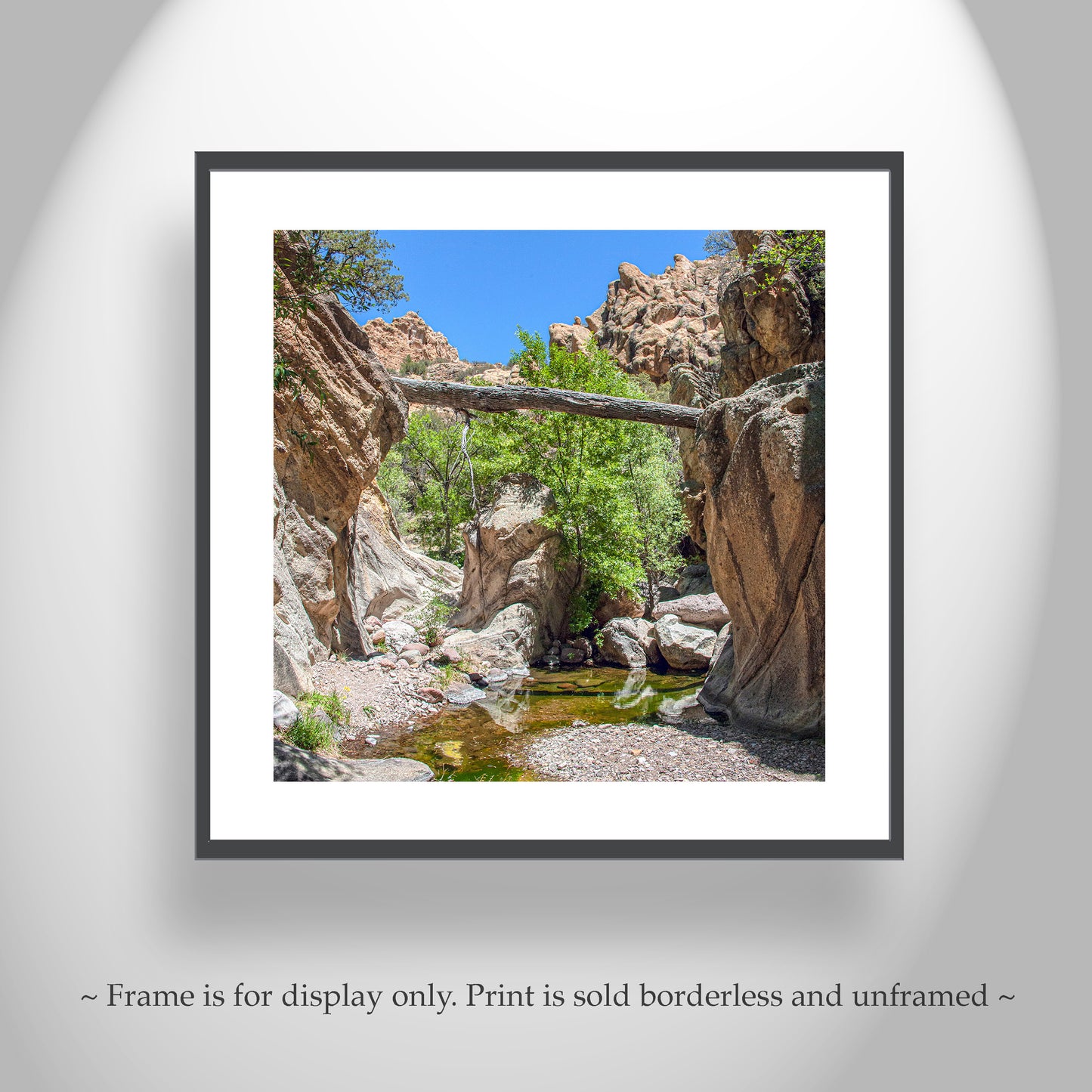 Arizona Desert Canyon Creek Landscape Art Print with Fallen Log