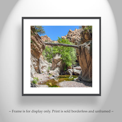 Arizona Desert Canyon Creek Landscape Art Print with Fallen Log