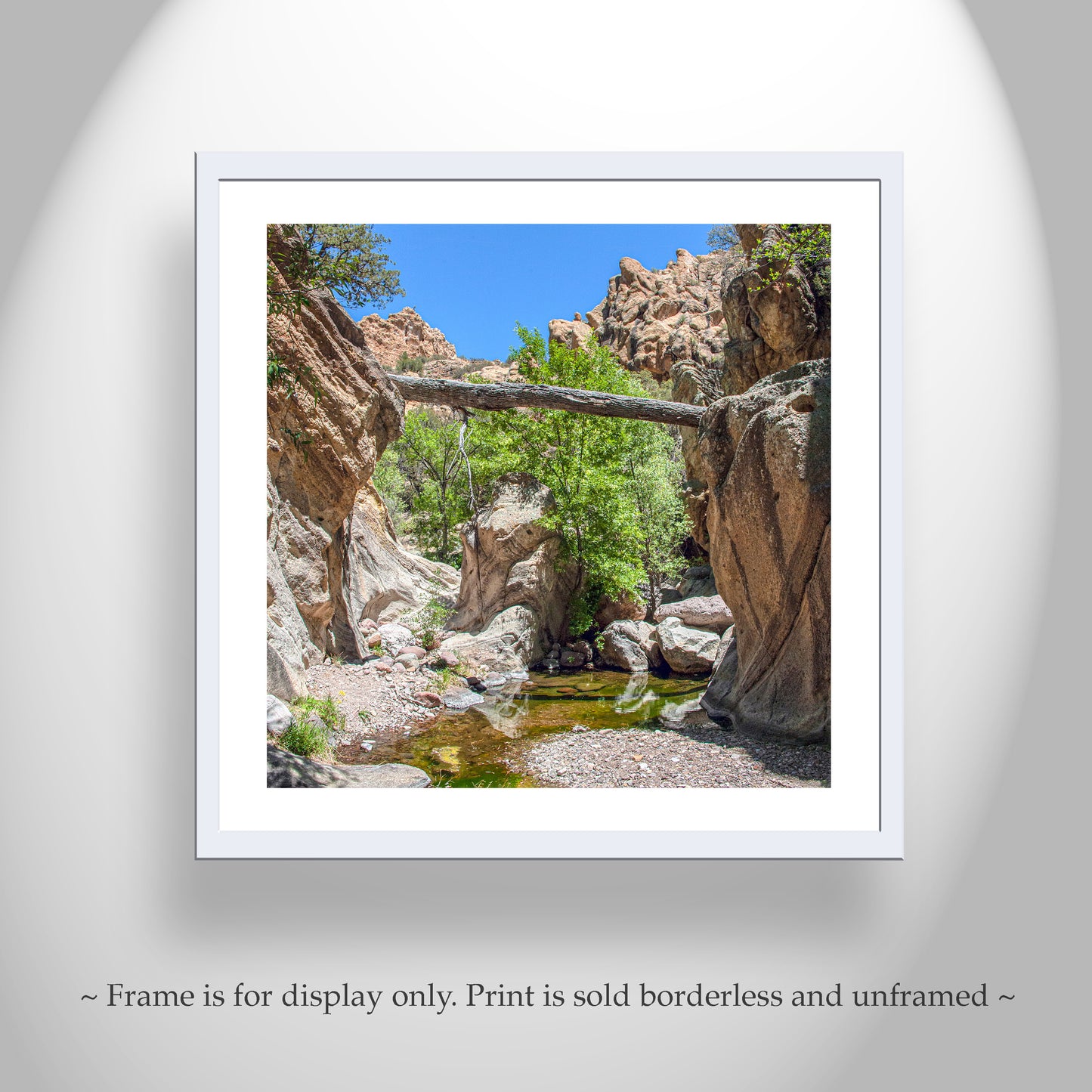 Arizona Desert Canyon Creek Landscape Art Print with Fallen Log