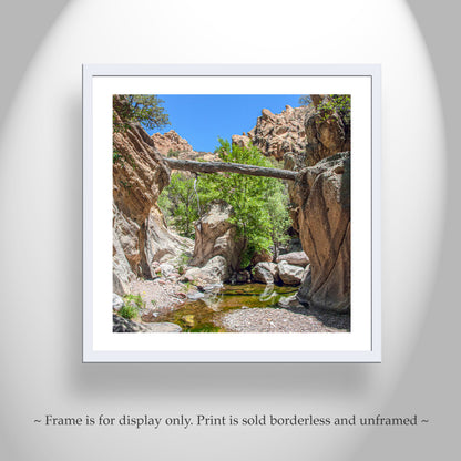 Arizona Desert Canyon Creek Landscape Art Print with Fallen Log