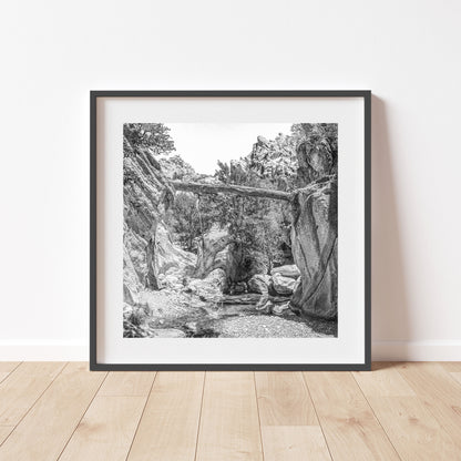 Desert Canyon Art Print with Fallen Log | Arizona Landscape Photography in Black and White