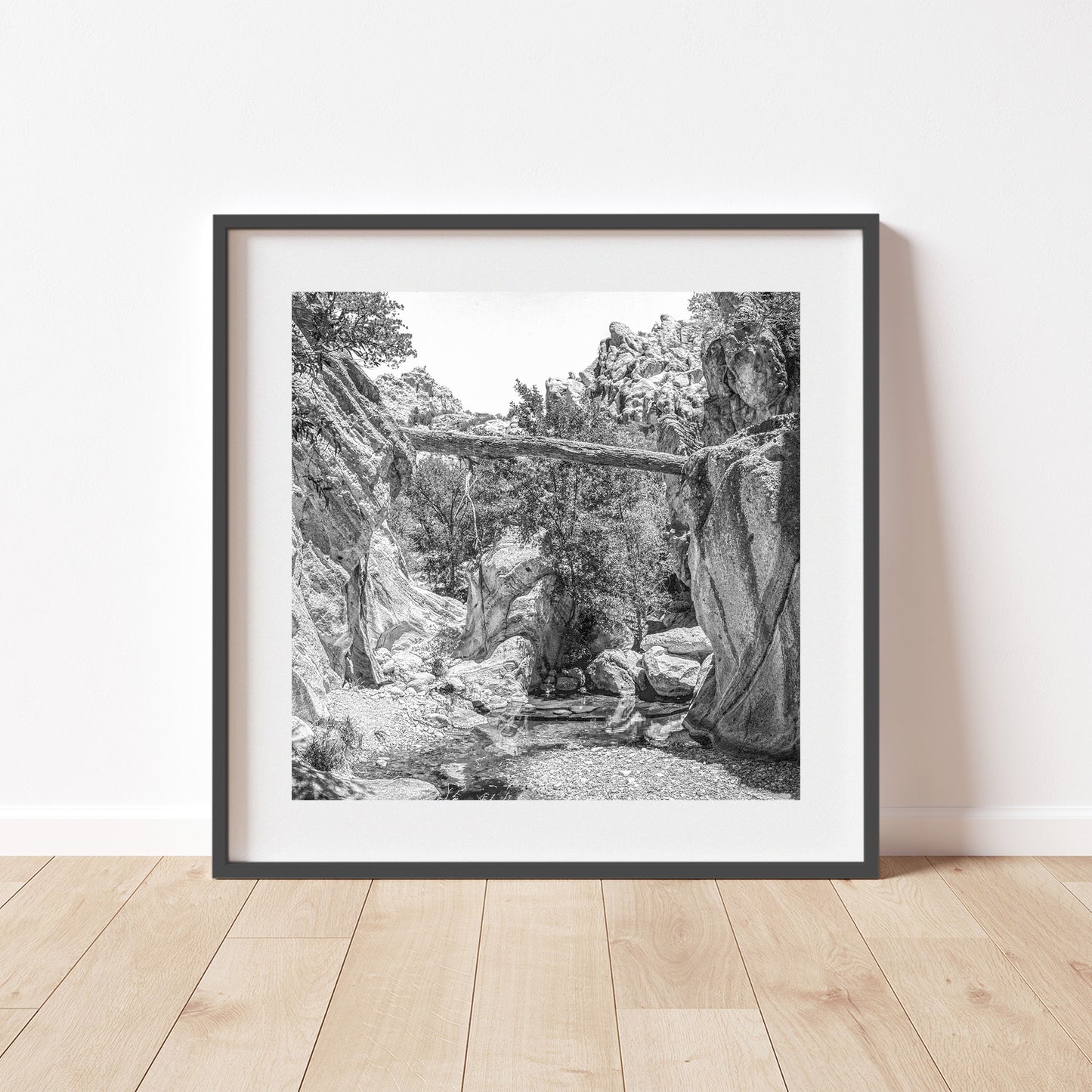 Desert Canyon Wall Decor for Sale in Black and White with Creek and Fallen Log