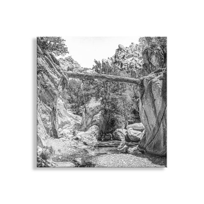 Desert Canyon Art Print with Fallen Log | Arizona Landscape Photography in Black and White