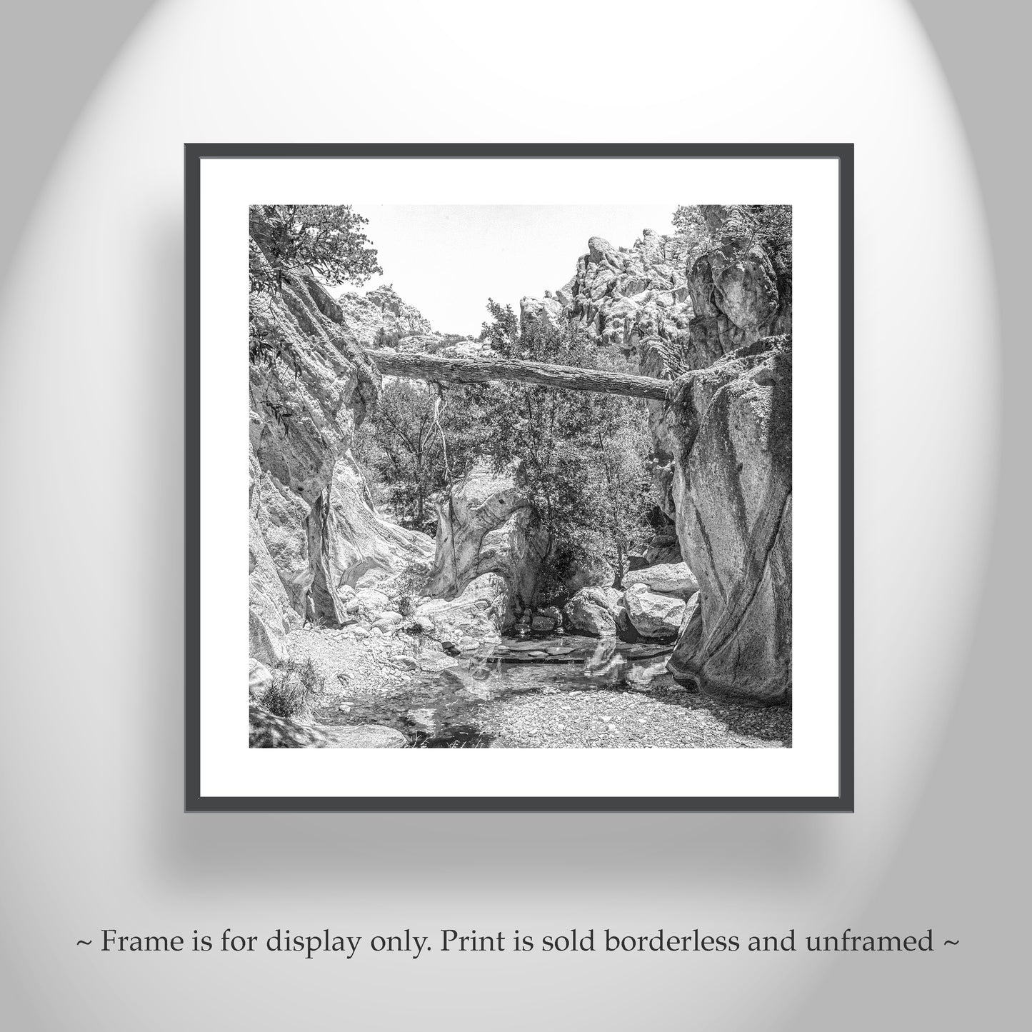 Desert Canyon Art Print with Fallen Log | Arizona Landscape Photography in Black and White