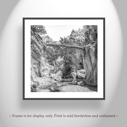 Desert Canyon Art Print with Fallen Log | Arizona Landscape Photography in Black and White