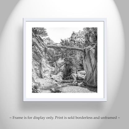 Desert Canyon Art Print with Fallen Log | Arizona Landscape Photography in Black and White