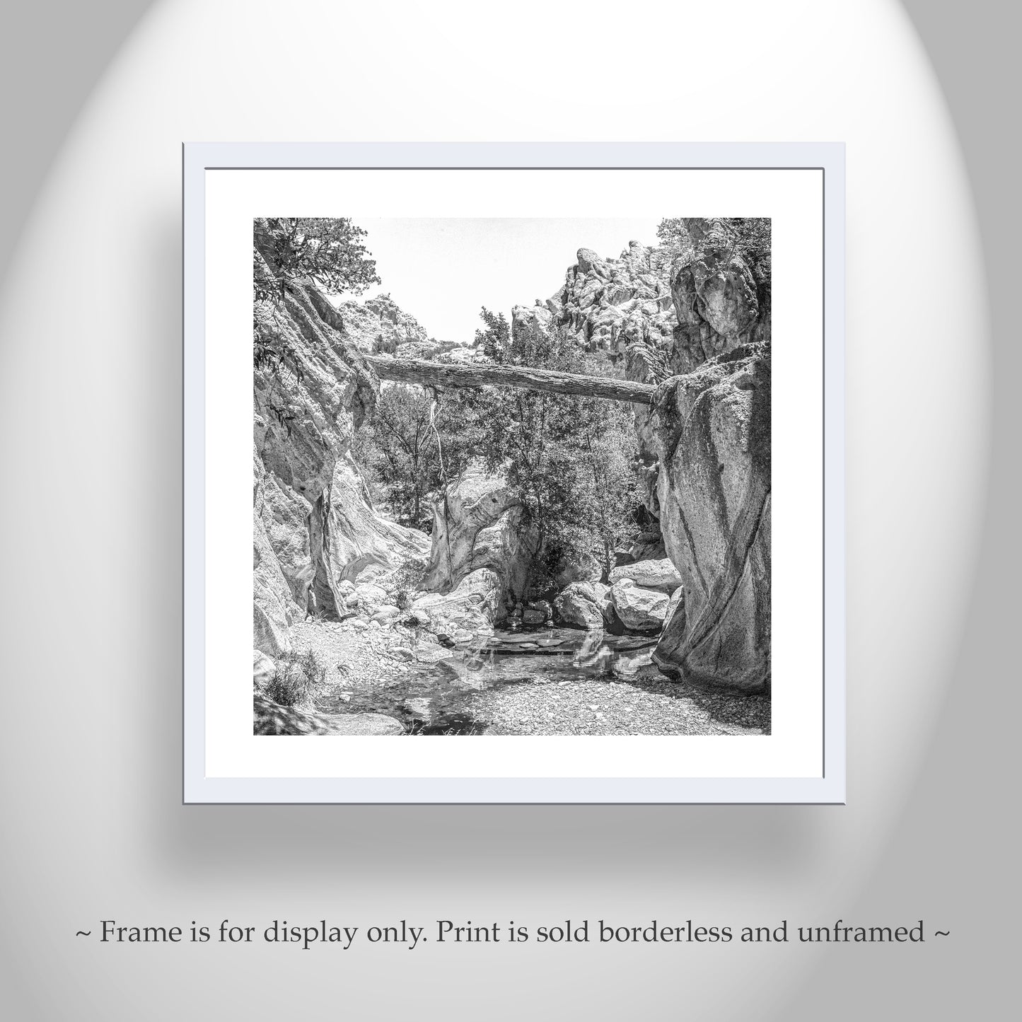 Desert Canyon Wall Decor for Sale in Black and White with Creek and Fallen Log