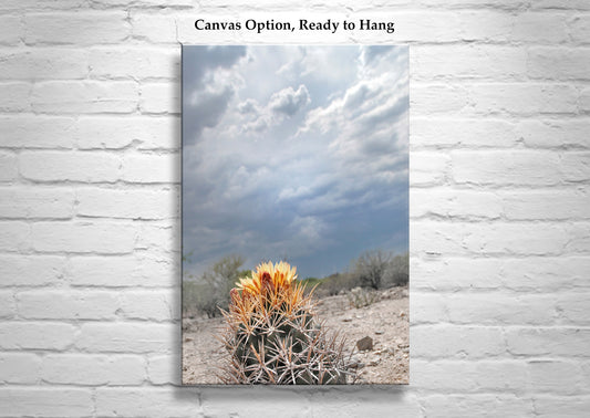 Desert Storm Landscape Art with Cactus Flower and Stormy Sky