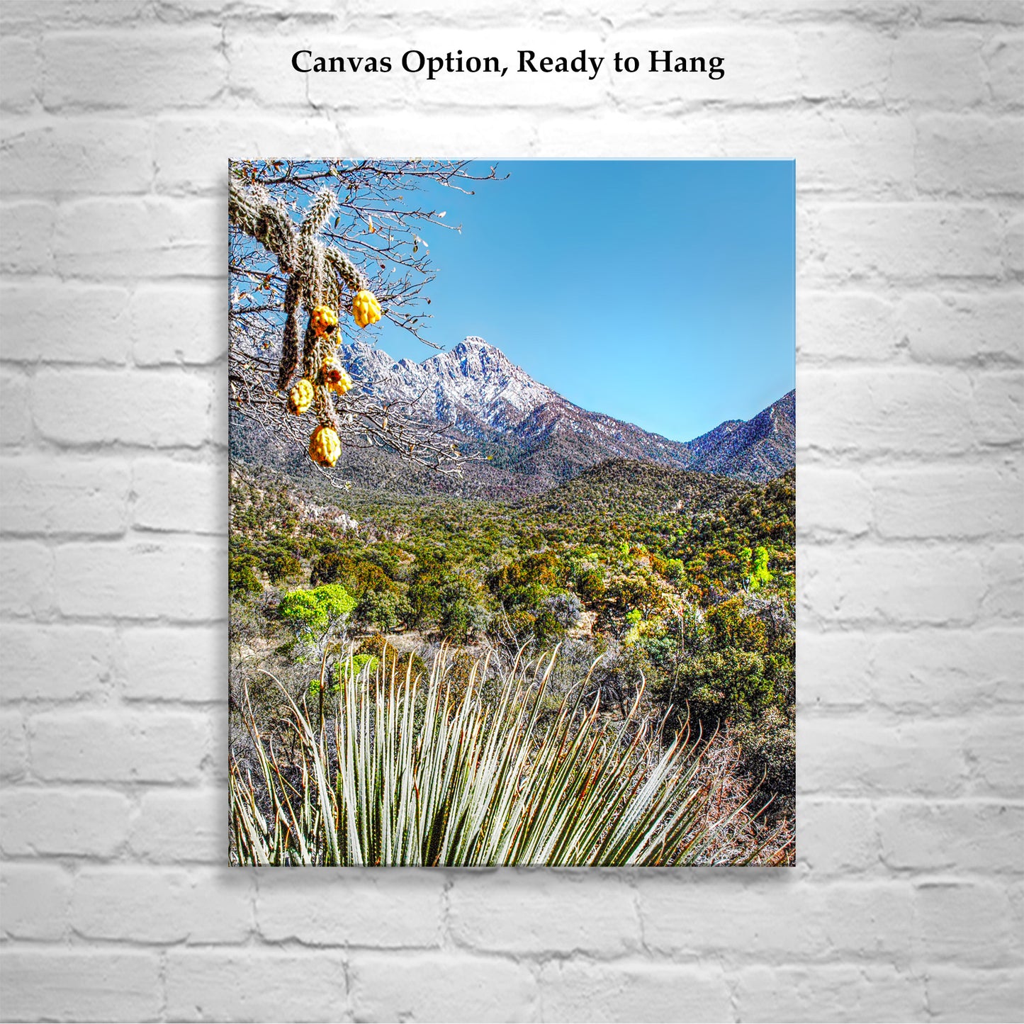 Madera Canyon Landscape Art | Arizona Sky Island Mountains