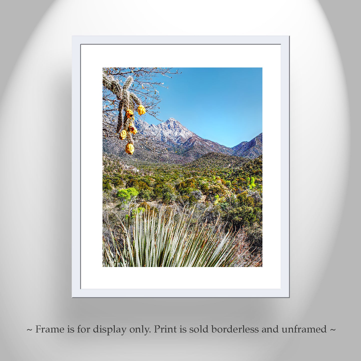 Madera Canyon Landscape Art | Arizona Sky Island Mountains