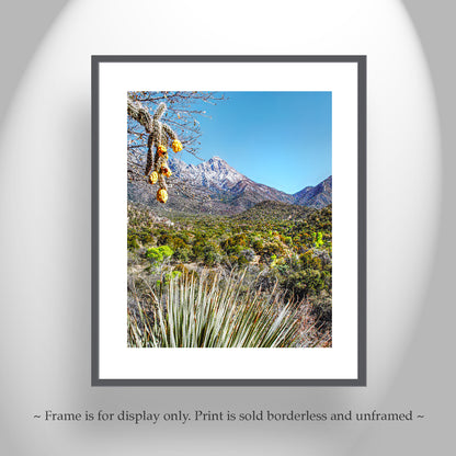 Madera Canyon Landscape Art | Arizona Sky Island Mountains