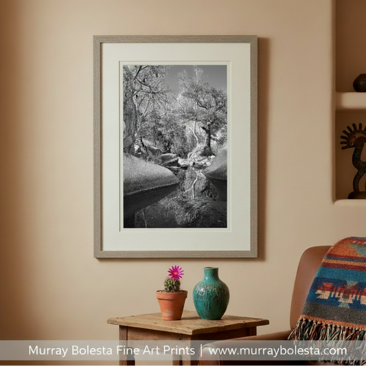 Black and white nature scene with trees and a stream. Arizona Desert Canyon Creek Fine Art Landscape Photography in Black and White by Murray Bolesta