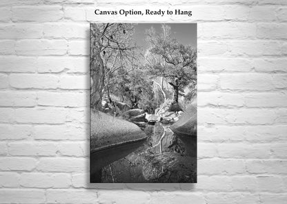 Arizona Desert Canyon Creek Fine Art Photography Black and White