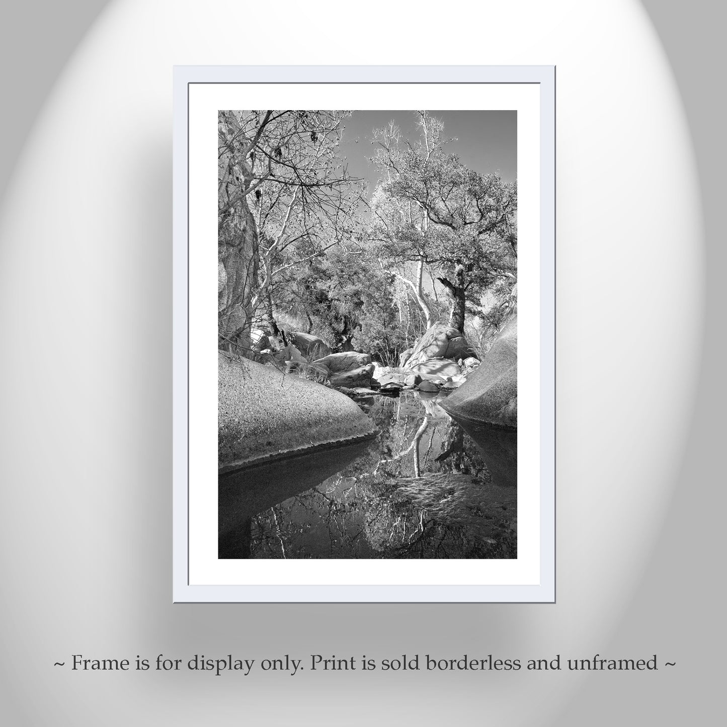 Arizona Desert Canyon Creek Fine Art Photography Black and White