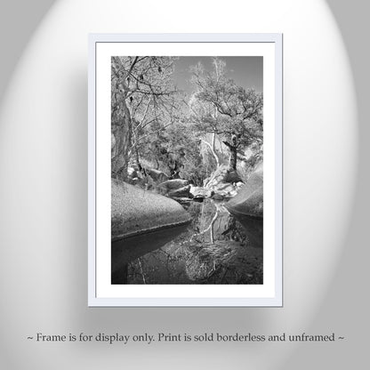 Arizona Desert Canyon Creek Fine Art Photography Black and White