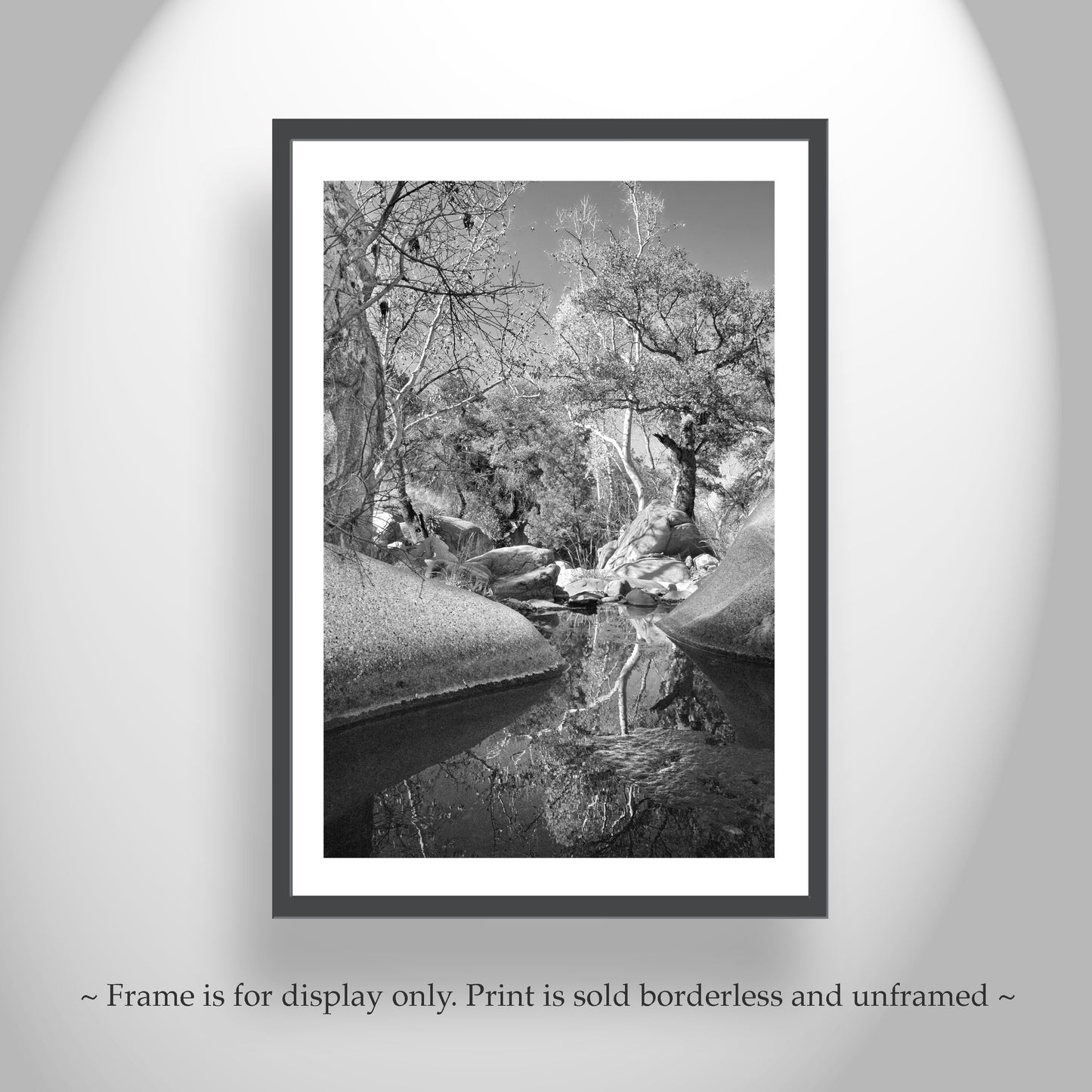 Arizona Desert Canyon Creek Fine Art Photography Black and White