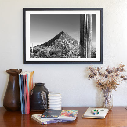 Fine Art Desert Decor with Arizona Cactus Landscape in Black and White