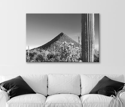 Fine Art Desert Decor with Arizona Cactus Landscape in Black and White