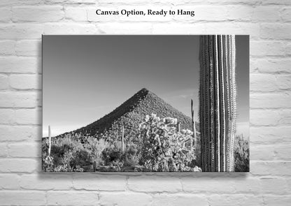 Fine Art Desert Decor with Arizona Cactus Landscape in Black and White