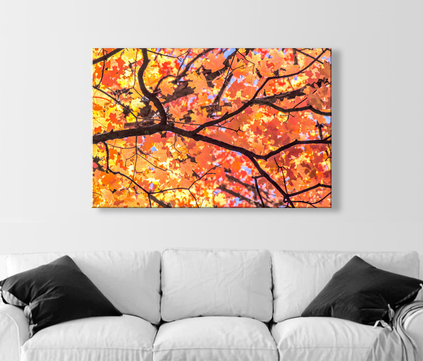 Autumn Maple Leaf Print – Golden Fall Nature Photo, Tucson AZ