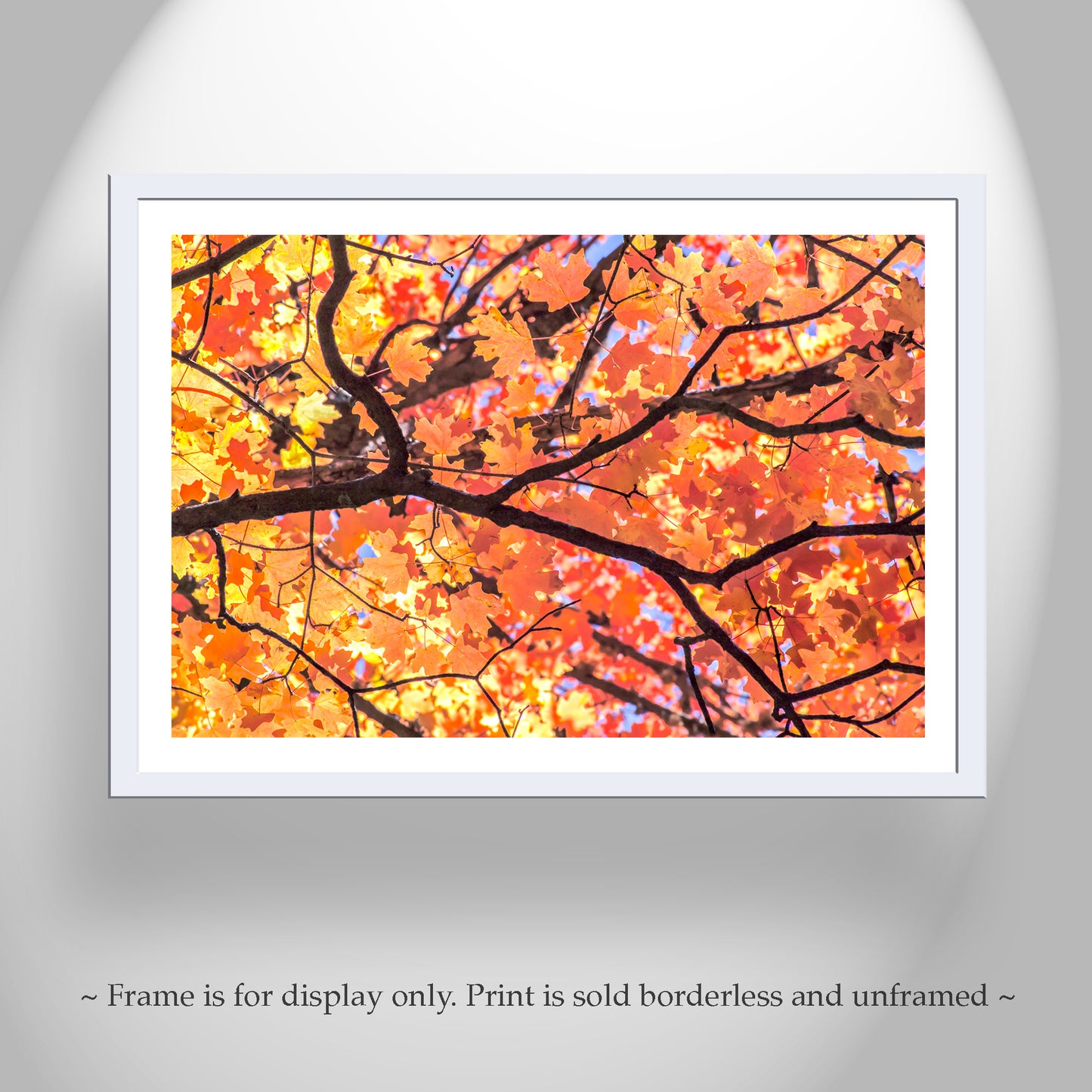 Autumn Maple Leaf Print – Golden Fall Nature Photo, Tucson AZ
