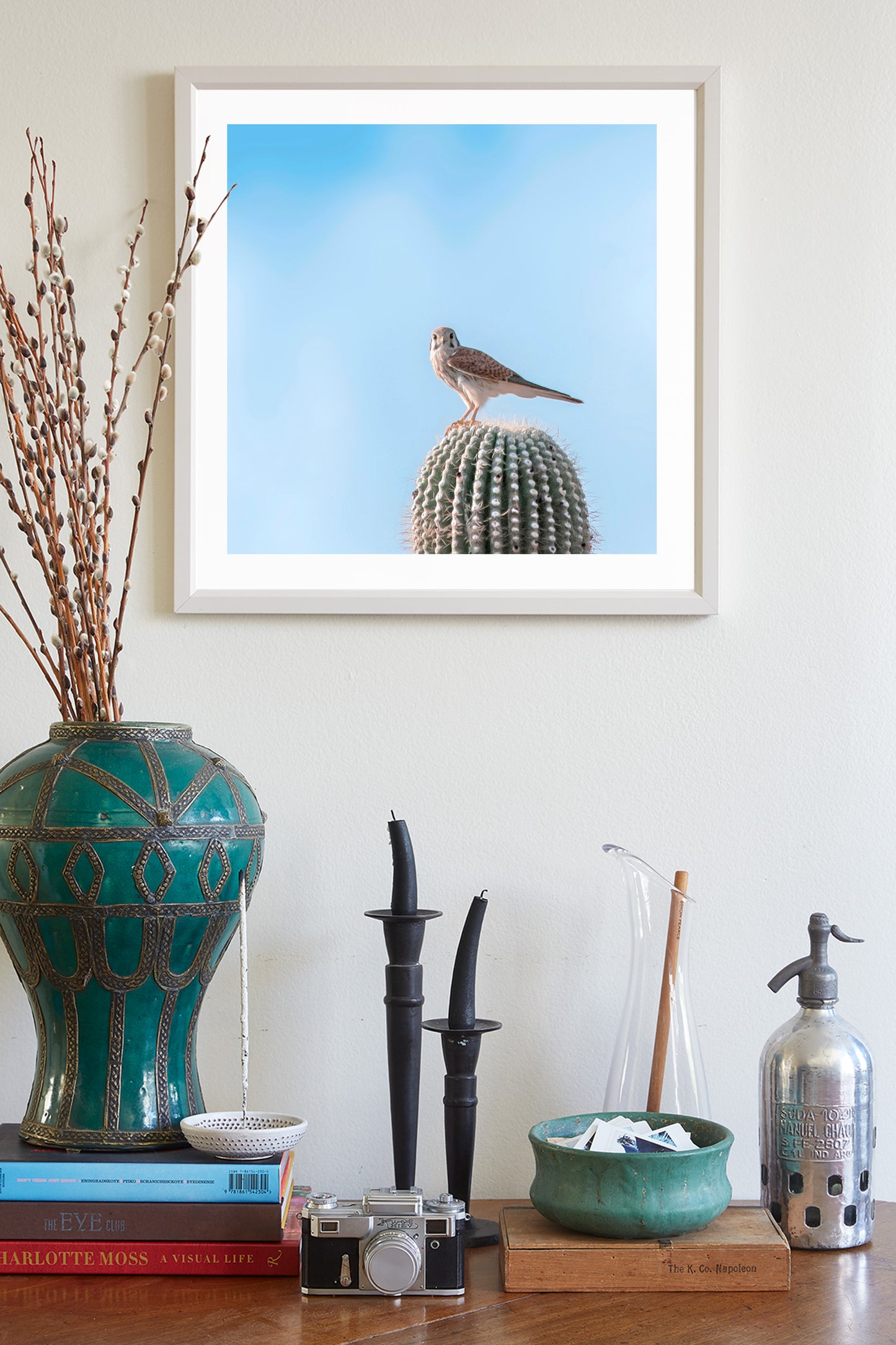 Arizona Bird Wall Decor with Merlin Falcon on Desert Cactus
