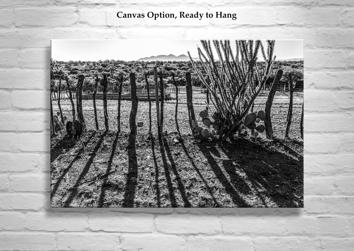 Rustic Ranch Art – Black & White Arizona Mesquite Fence & Ocotillo
