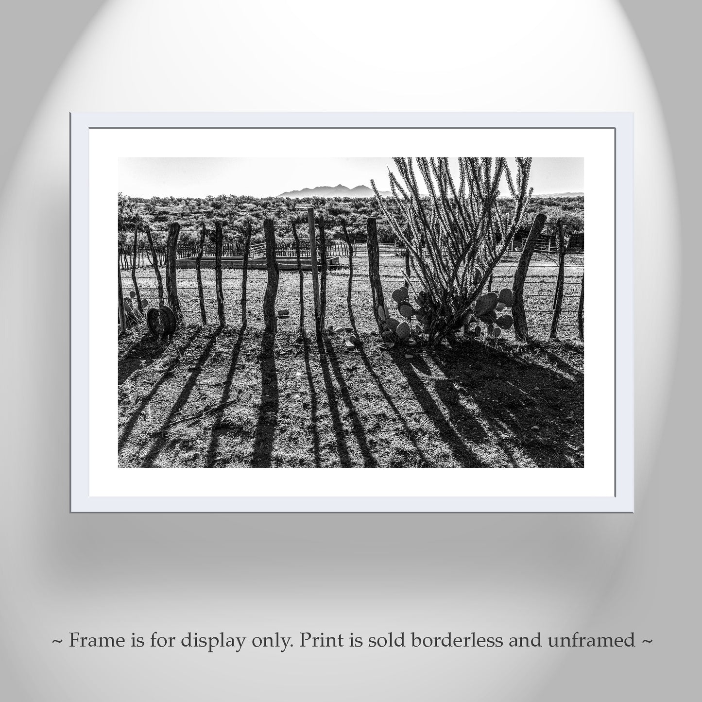 Rustic Ranch Art – Black & White Arizona Mesquite Fence & Ocotillo