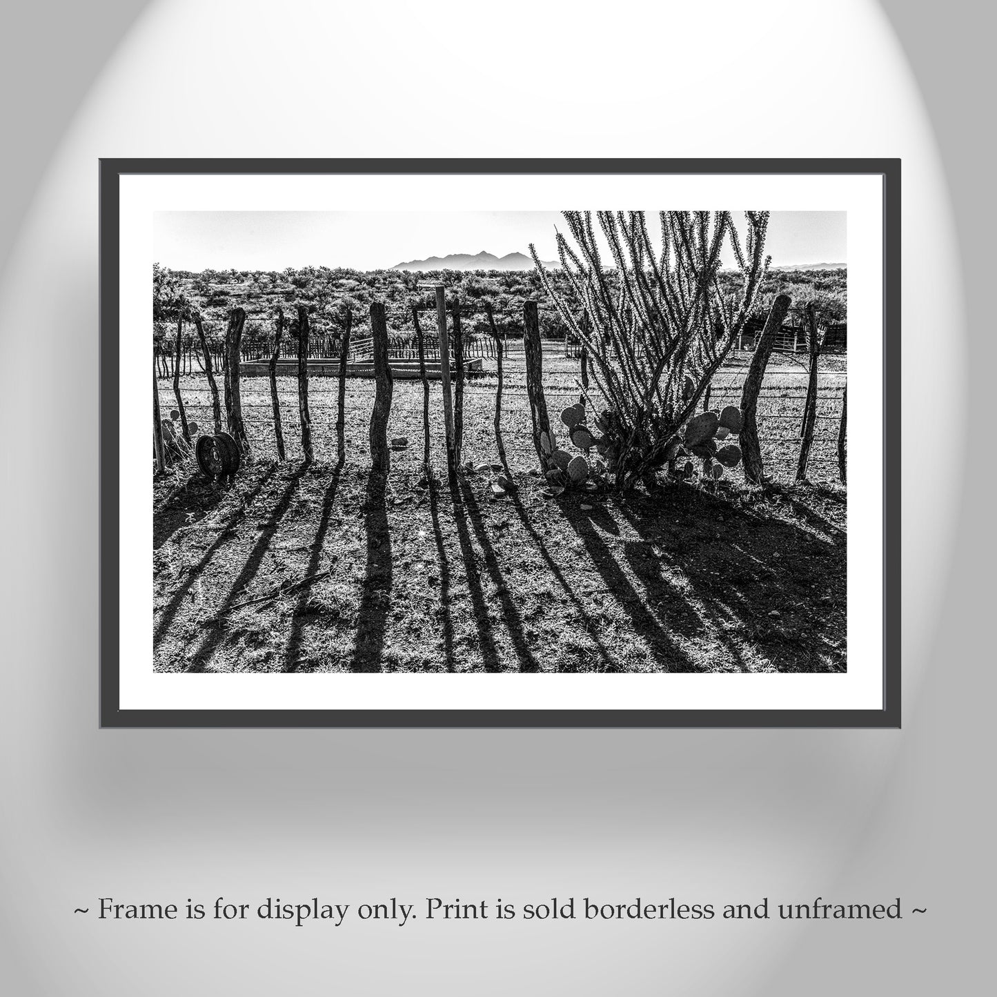 Rustic Ranch Art – Black & White Arizona Mesquite Fence & Ocotillo