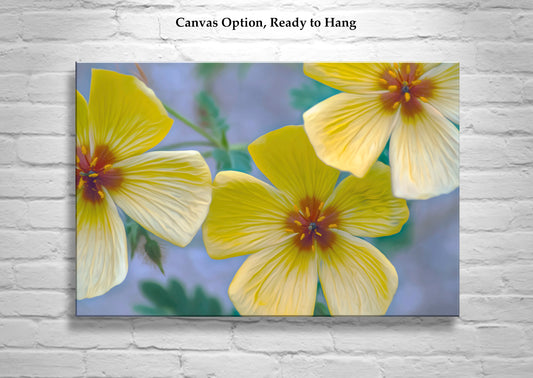 Golden Poppy Flower Art Print | Floral Wall Decor | Tucson Arizona Wildflowers