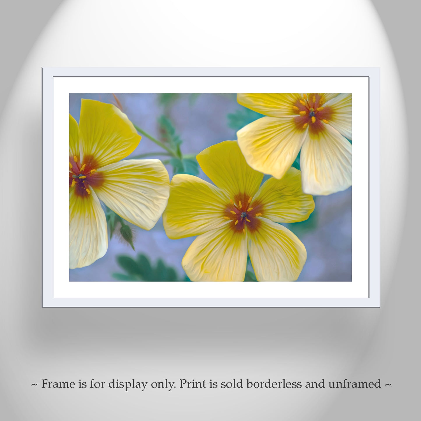 Golden Poppy Flower Art Print | Floral Wall Decor | Tucson Arizona Wildflowers