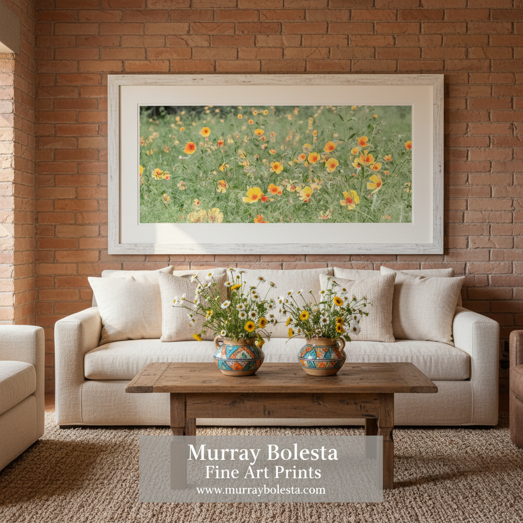 Canvas print of a field of yellow flowers with green grass on a white background. Arizona Floral Wall Art in Panorama with Mexican Gold Poppies by Murray Bolesta