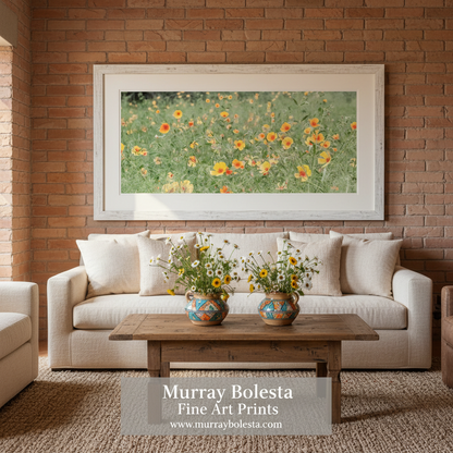 Canvas print of a field of yellow flowers with green grass on a white background. Arizona Floral Wall Art in Panorama with Mexican Gold Poppies by Murray Bolesta