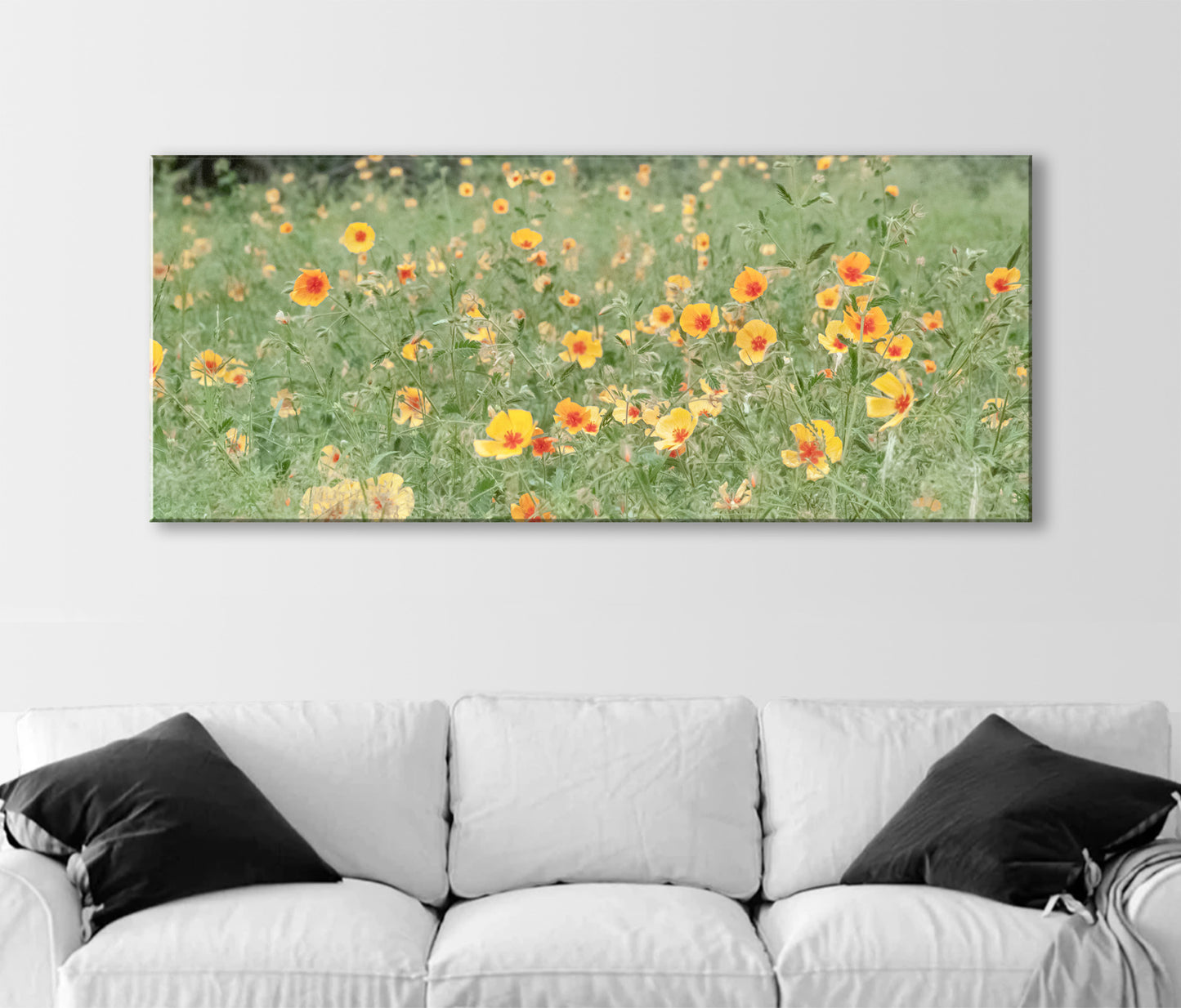 Arizona Floral Wall Art in Panorama with Mexican Gold Poppies