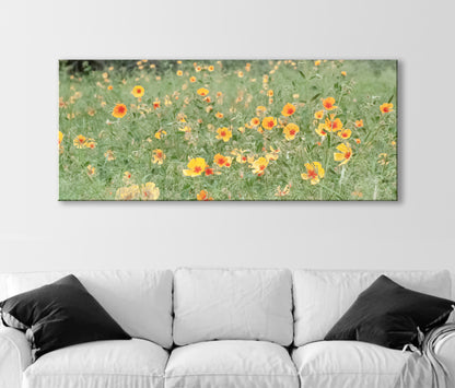 Arizona Floral Wall Art in Panorama with Mexican Gold Poppies
