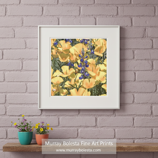 Canvas print of yellow flowers with blue accents on a white background. Poppy Flower Nature Photography in Tucson Arizona Desert at Picacho Peak. Wildflower Artwork by Murray Bolesta
