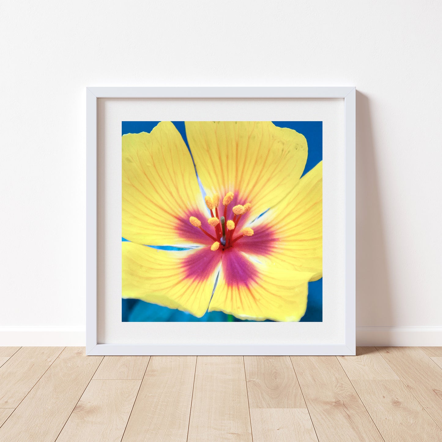Desert Poppy Flower Art Print as Bright Vibrant Botanical Wall Decor