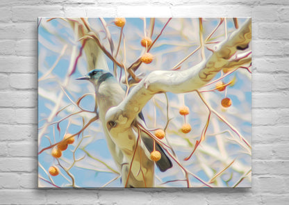 Blue Jay Bird in Sycamore Tree as Spring Forest Wildlife Photography
