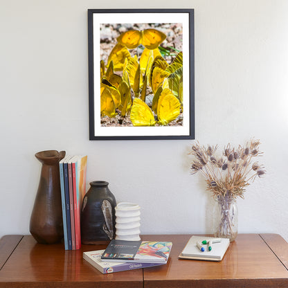 Yellow Butterfly Nature Photography as Insect Art Print