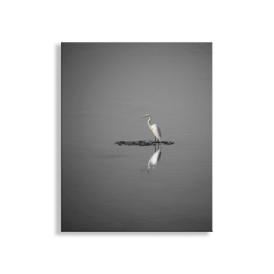 Egret Bird Art as Minimalist Wildlife Decor in Black and White