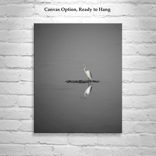 Egret Bird Art as Minimalist Wildlife Decor in Black and White
