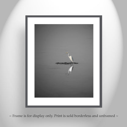 Egret Bird Art as Minimalist Wildlife Decor in Black and White