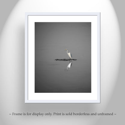 Egret Bird Art as Minimalist Wildlife Decor in Black and White