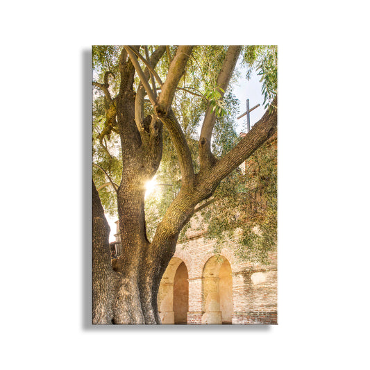 Old Church at Mission San Antonio de Padua Lompoc California