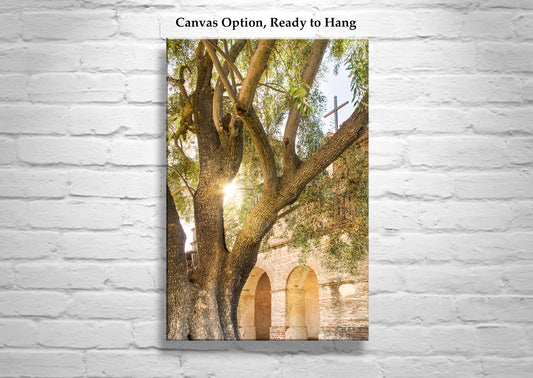 Old Church at Mission San Antonio de Padua Lompoc California