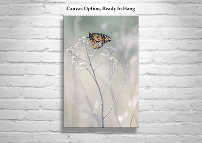 Monarch Butterfly Wall Art Print as Elegant Nature Decor