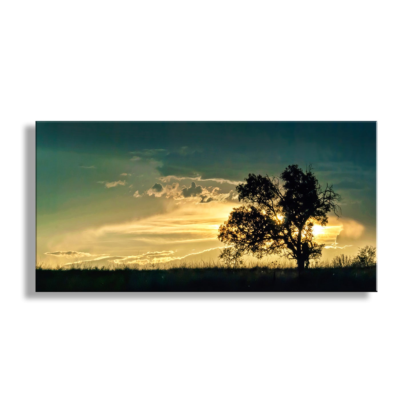 Golden Sunset Panorama Art | Oak Tree Silhouette & Arizona Monsoon