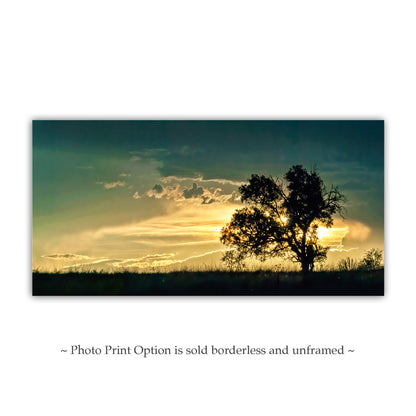 Golden Sunset Panorama Art | Oak Tree Silhouette & Arizona Monsoon